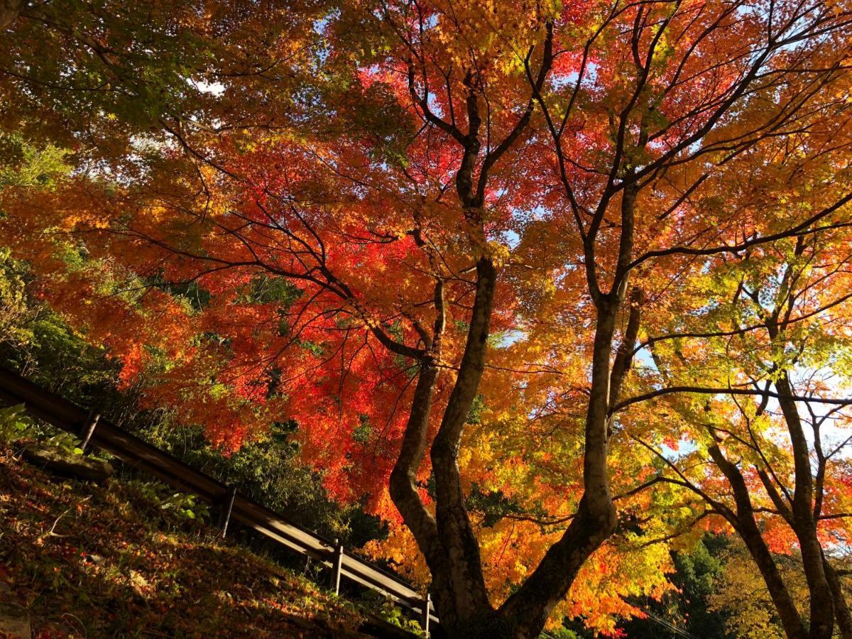 Kazuraya Hotel Miyoshi  Eksteriør billede